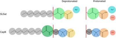 Simulating micelle self-assembly to assess potential for viscosity build in surfactant formulations